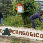 Terreno_8